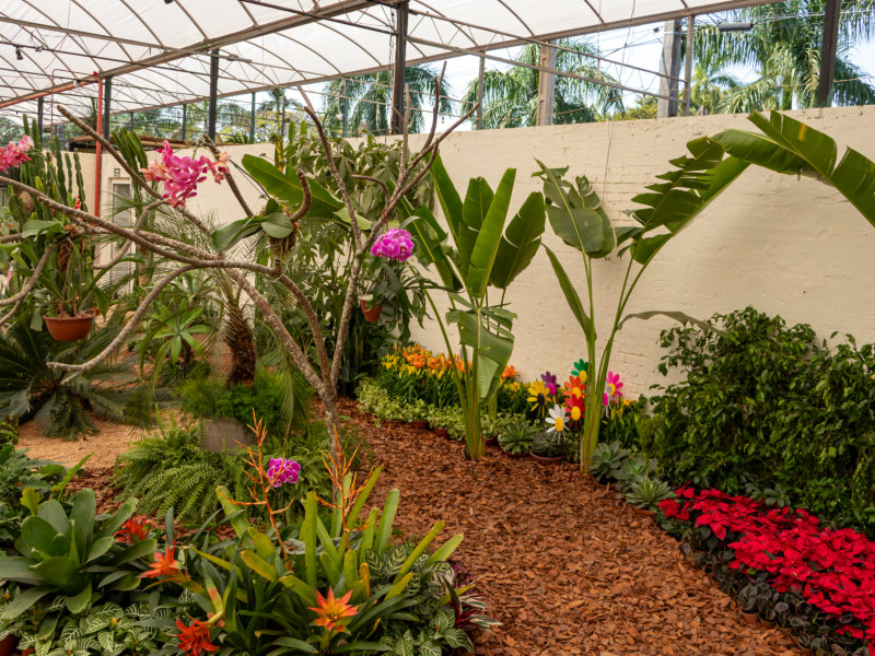 Harmonia de Contrastes: Cactos e Orquídeas, Flores Vivas e Artificiais idealização – Swenne Henriet Dragstra para Expoflora 2024